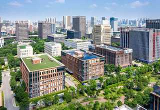 四川氟橡胶的硫化